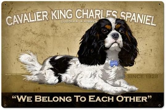 Retro Metal Tin Sign Cavalier  – Home Decor Shop Bewertung und Preis