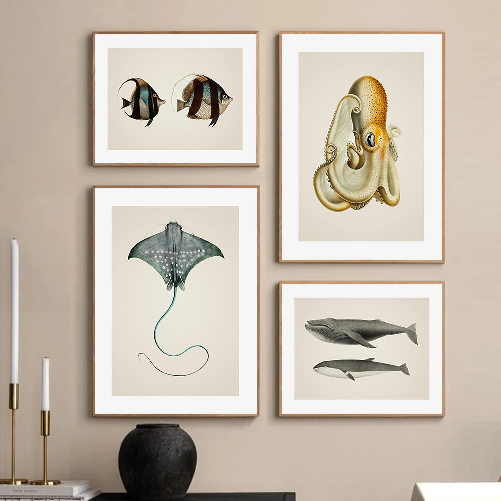 Marine Life Beautiful Tropical – Home Decor Enthusiast Bewertung und Preis