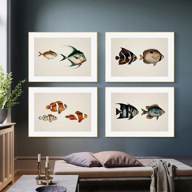 Marine Life Beautiful Tropical – Home Decor Enthusiast Bewertung und Preis