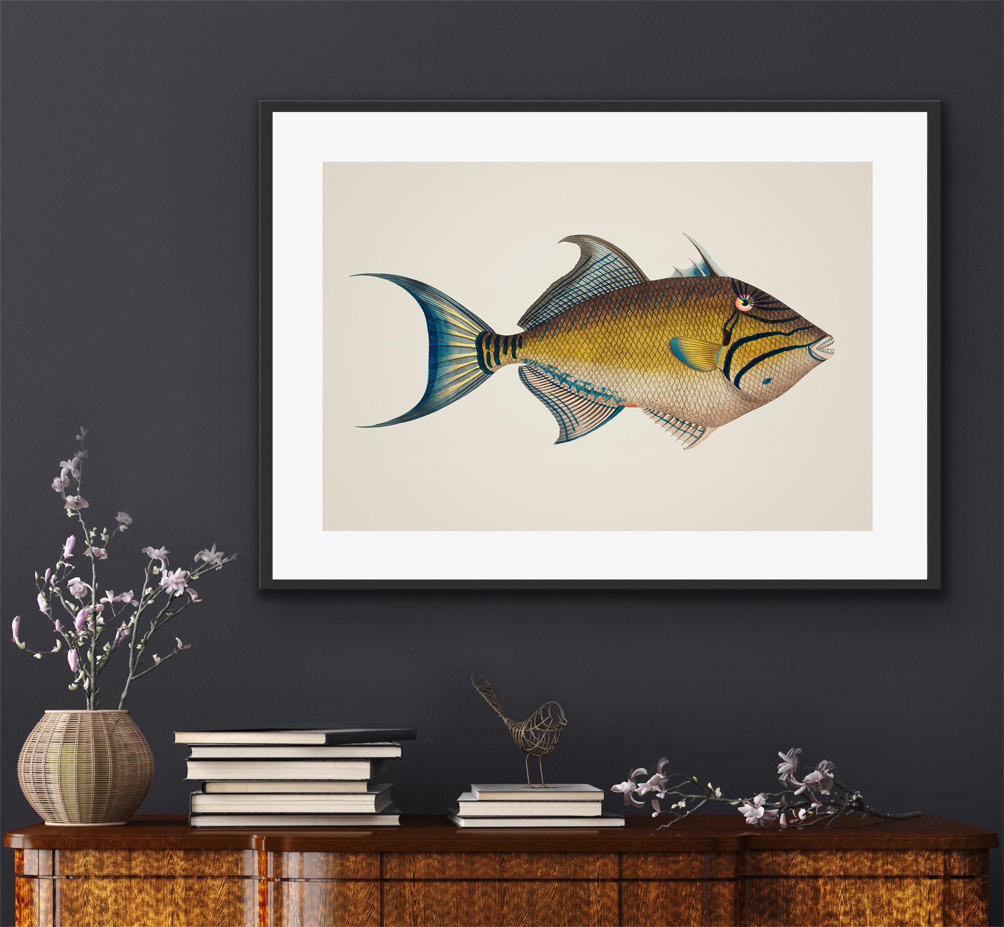 Marine Life Beautiful Tropical – Home Decor Enthusiast Bewertung und Preis