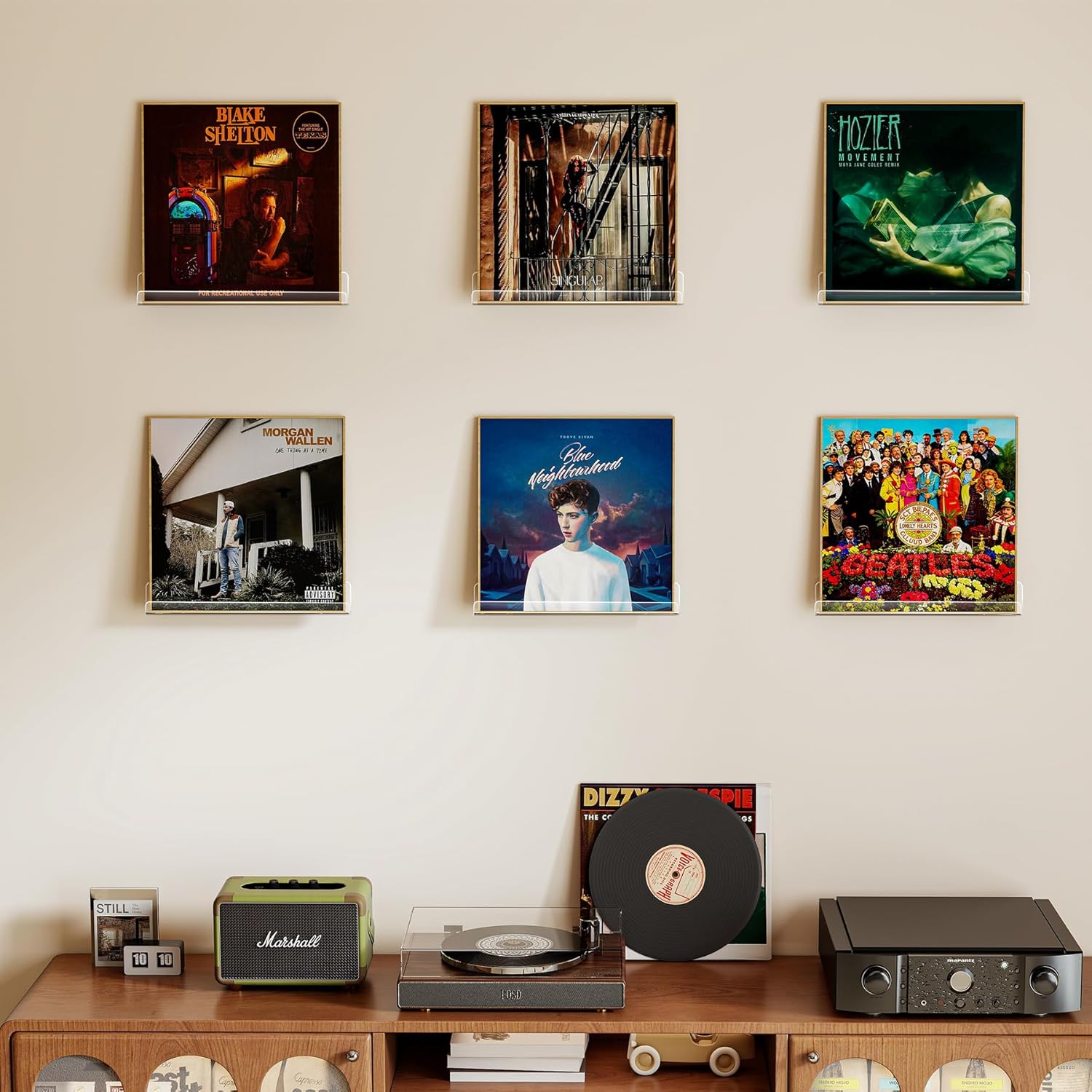 Vinyl Record Shelf Wall Mount  – Floating Shelves Bewertung und Preis