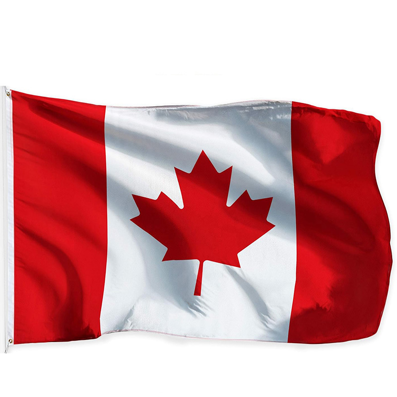 2026 World Group B Canada Bosn – Home Decor Qatar Bewertung und Preis